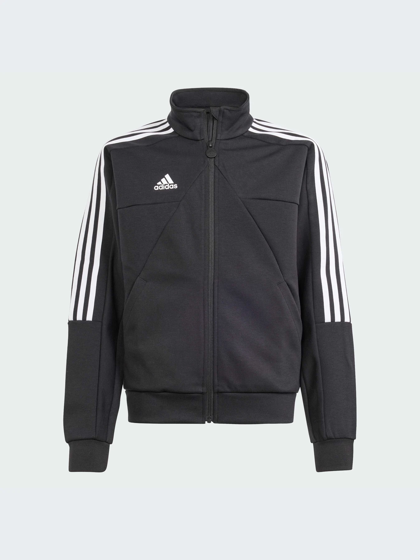 Худи и свитшоты Adidas Tiro модель IS4346-KZ Худи и свитшоты Adidas Tiro модель IS4346-KZ Фото
