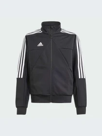 Худи и свитшоты Adidas Tiro модель IS4346-KZ Фото