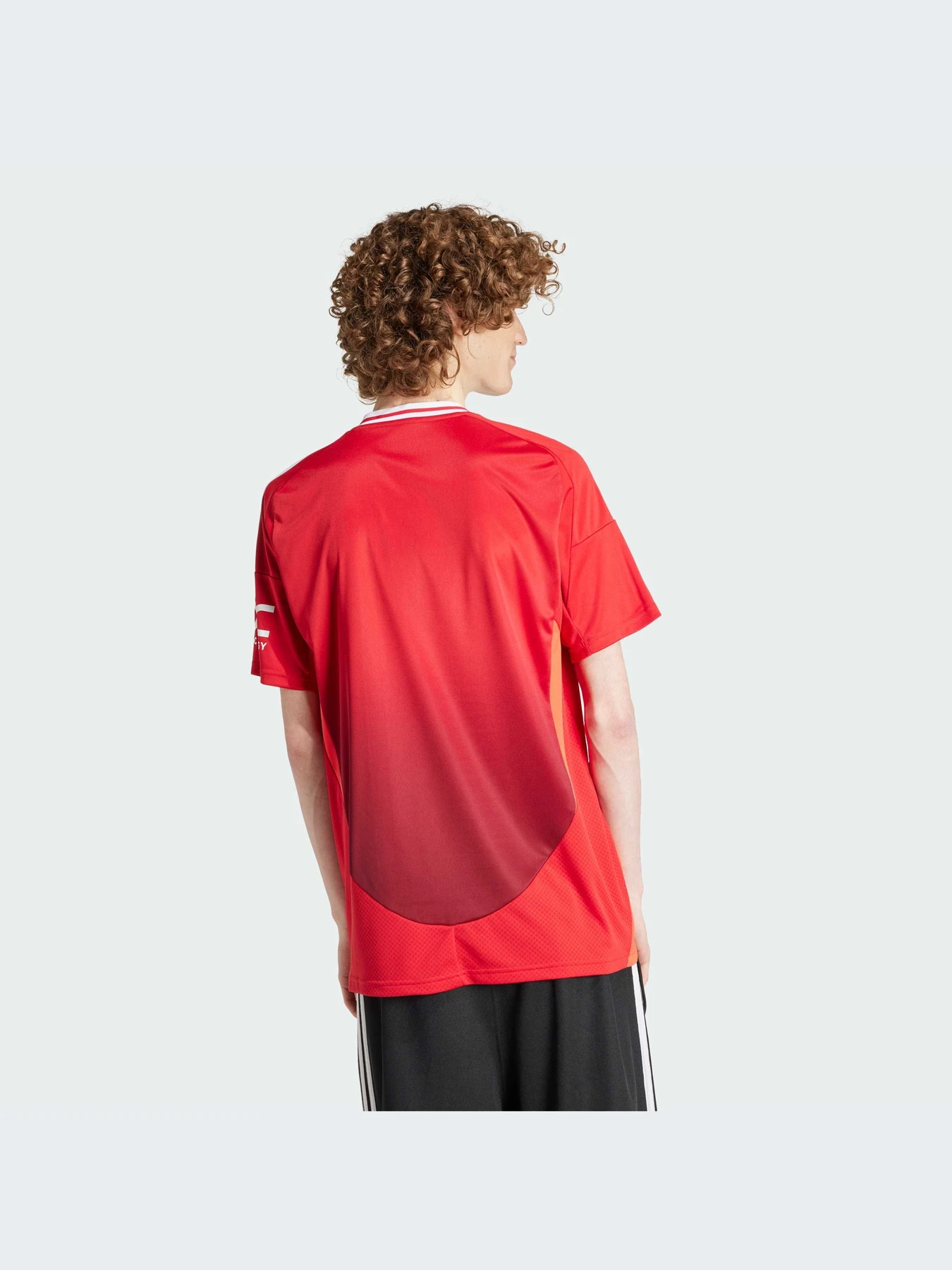 Футболки и поло Adidas модель IU1397-KZ Футболки и поло Adidas модель IU1397-KZ Фото