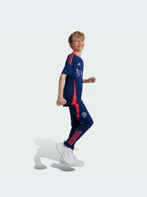 Брюки Adidas Tiro модель IT2025-KZ Фото