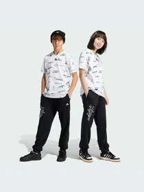 Брюки Adidas модель IV9425-KZ Фото
