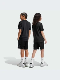 Шорты Adidas Clima модель IV9578-KZ Фото