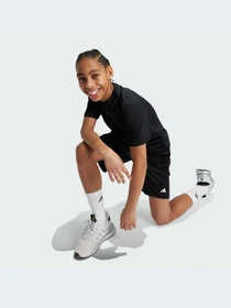 Шорты Adidas Clima модель IV9578-KZ Фото