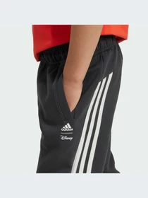 Брюки Adidas модель IV9627-KZ Фото