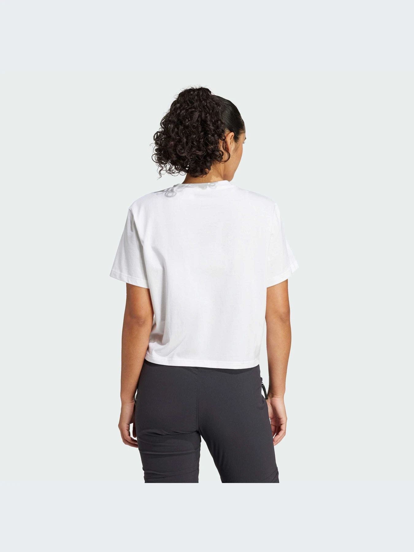 Футболки и поло Adidas модель IW2714-KZ Футболки и поло Adidas модель IW2714-KZ Фото