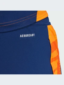 Брюки Adidas модель IS5796-KZ Фото