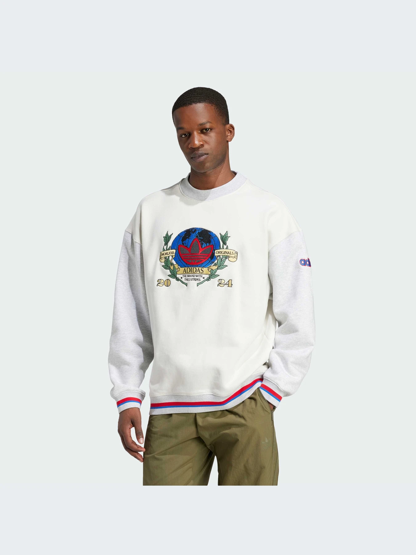 Худи и свитшоты Adidas Graphics модель IX6755-KZ Худи и свитшоты Adidas Graphics модель IX6755-KZ Фото