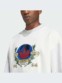 Худи и свитшоты Adidas Graphics модель IX6755-KZ Фото
