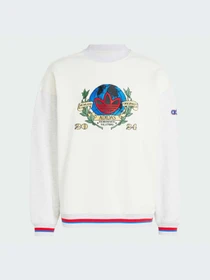 Худи и свитшоты Adidas Graphics модель IX6755-KZ Фото