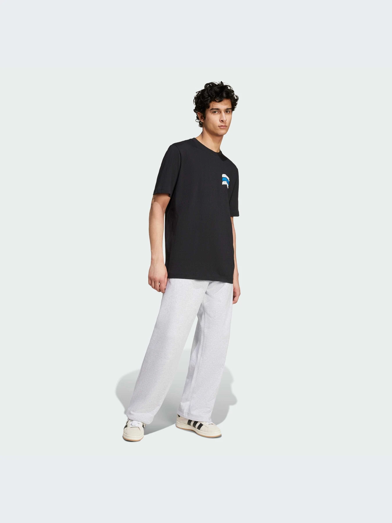 Футболки и поло Adidas Graphics модель IZ2580-KZ Футболки и поло Adidas Graphics модель IZ2580-KZ Фото