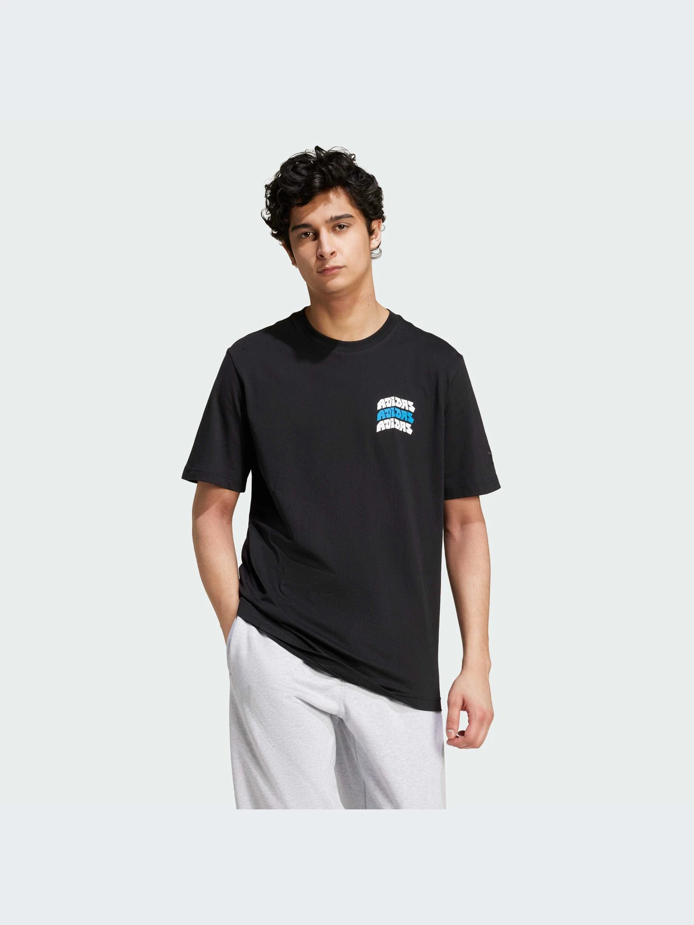 Футболки и поло Adidas Graphics модель IZ2580-KZ Футболки и поло Adidas Graphics модель IZ2580-KZ Фото