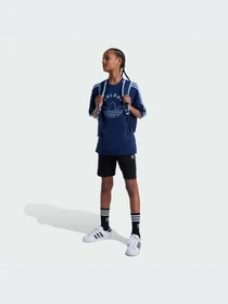 Шорты Adidas Adicolor модель IY7481-KZ Фото