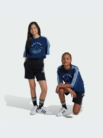Шорты Adidas Adicolor модель IY7481-KZ Фото