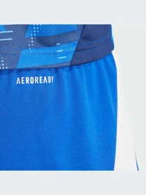 Шорты Adidas Tiro модель IR9378-KZ Фото