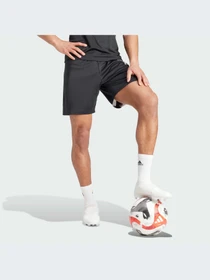 Шорты Adidas модель IK5755-KZ Фото