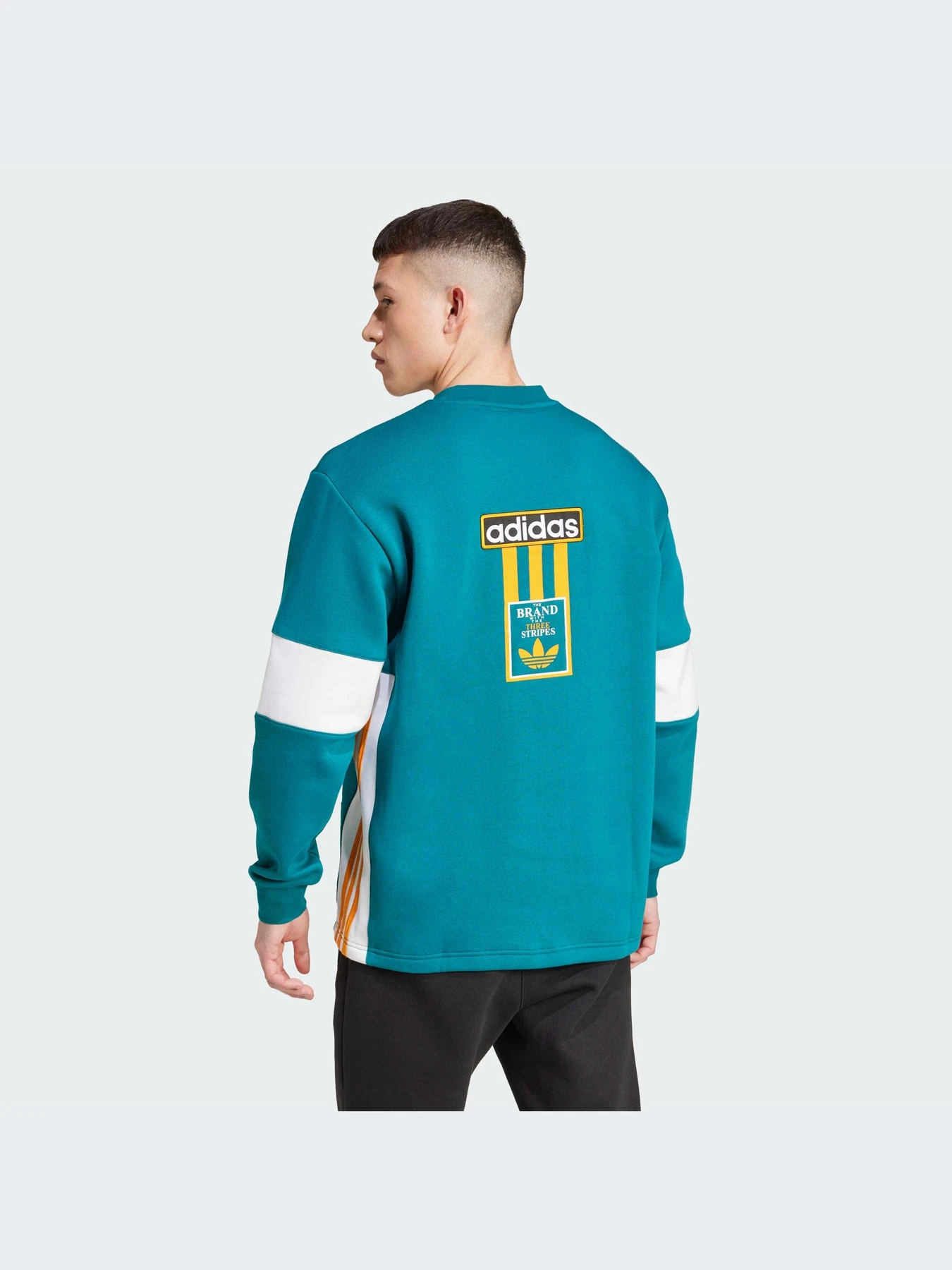 Худи и свитшоты Adidas Adicolor модель IW5813-KZ Худи и свитшоты Adidas Adicolor модель IW5813-KZ Фото