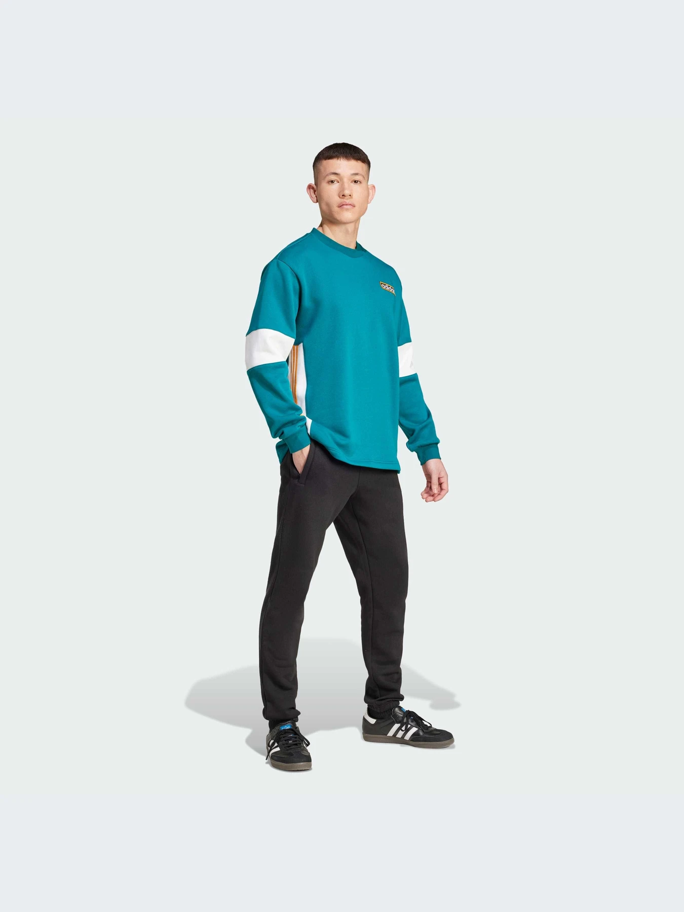 Худи и свитшоты Adidas Adicolor модель IW5813-KZ Худи и свитшоты Adidas Adicolor модель IW5813-KZ Фото