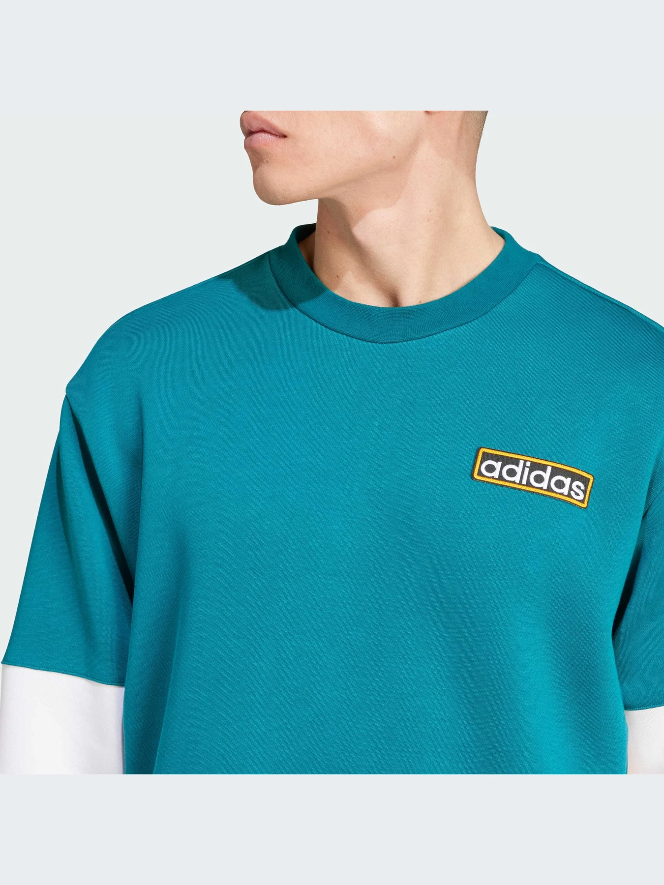 Худи и свитшоты Adidas Adicolor модель IW5813-KZ Худи и свитшоты Adidas Adicolor модель IW5813-KZ Фото