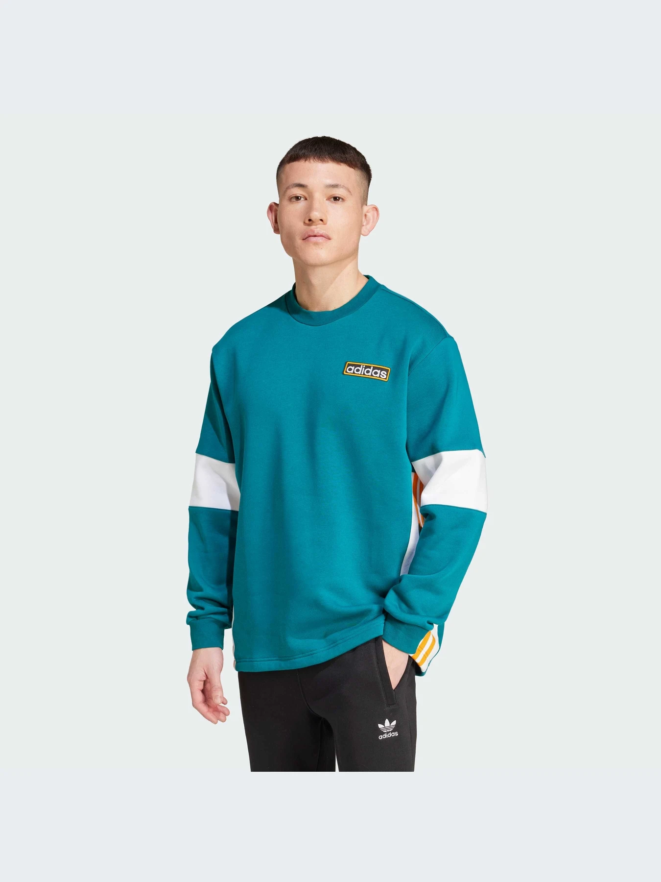 Худи и свитшоты Adidas Adicolor модель IW5813-KZ Худи и свитшоты Adidas Adicolor модель IW5813-KZ Фото