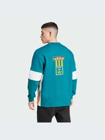 Худи и свитшоты Adidas Adicolor модель IW5813-KZ Фото
