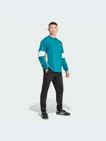 Худи и свитшоты Adidas Adicolor модель IW5813-KZ Фото