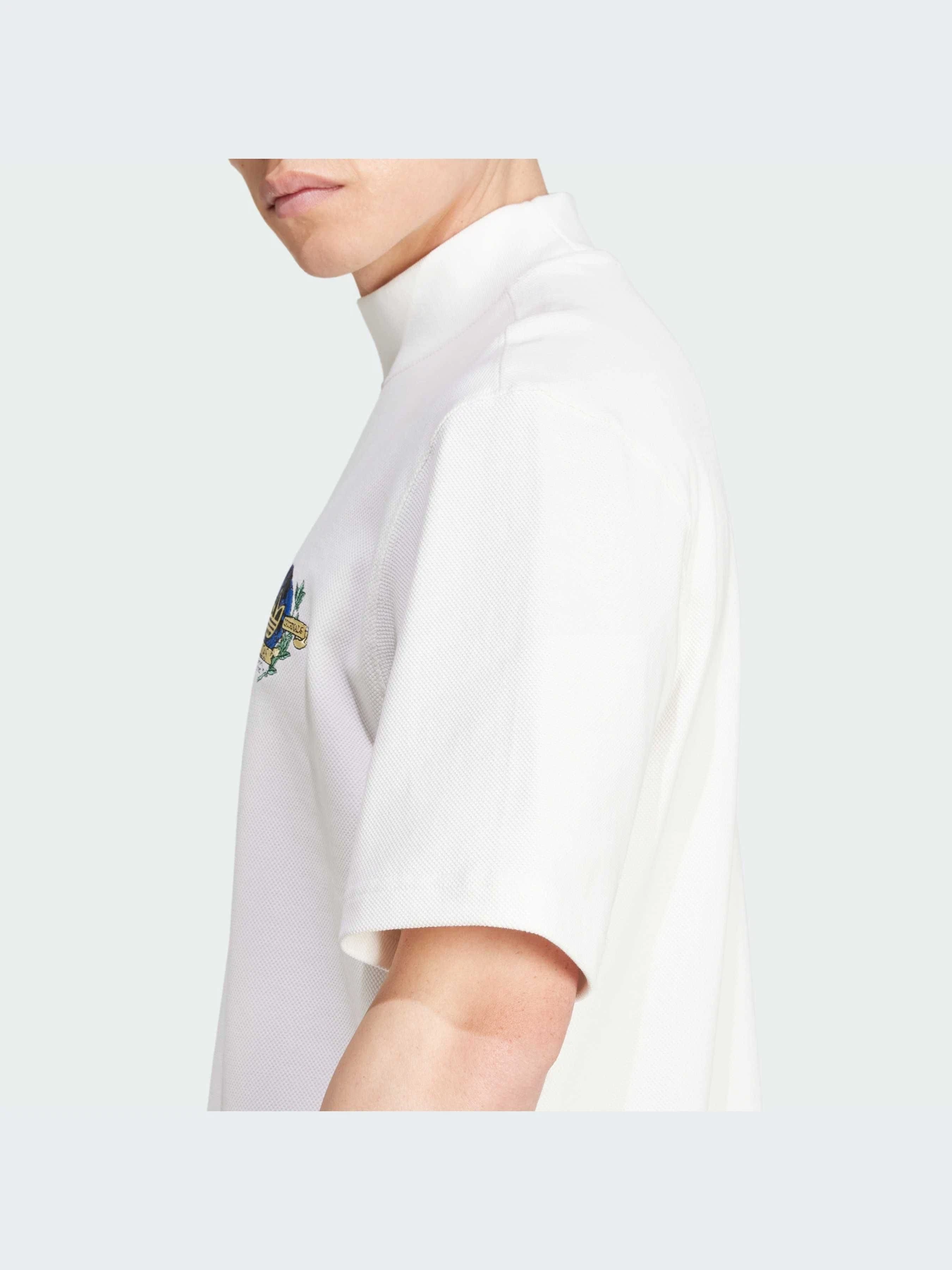Футболки и поло Adidas Graphics модель IX6773-KZ Футболки и поло Adidas Graphics модель IX6773-KZ Фото