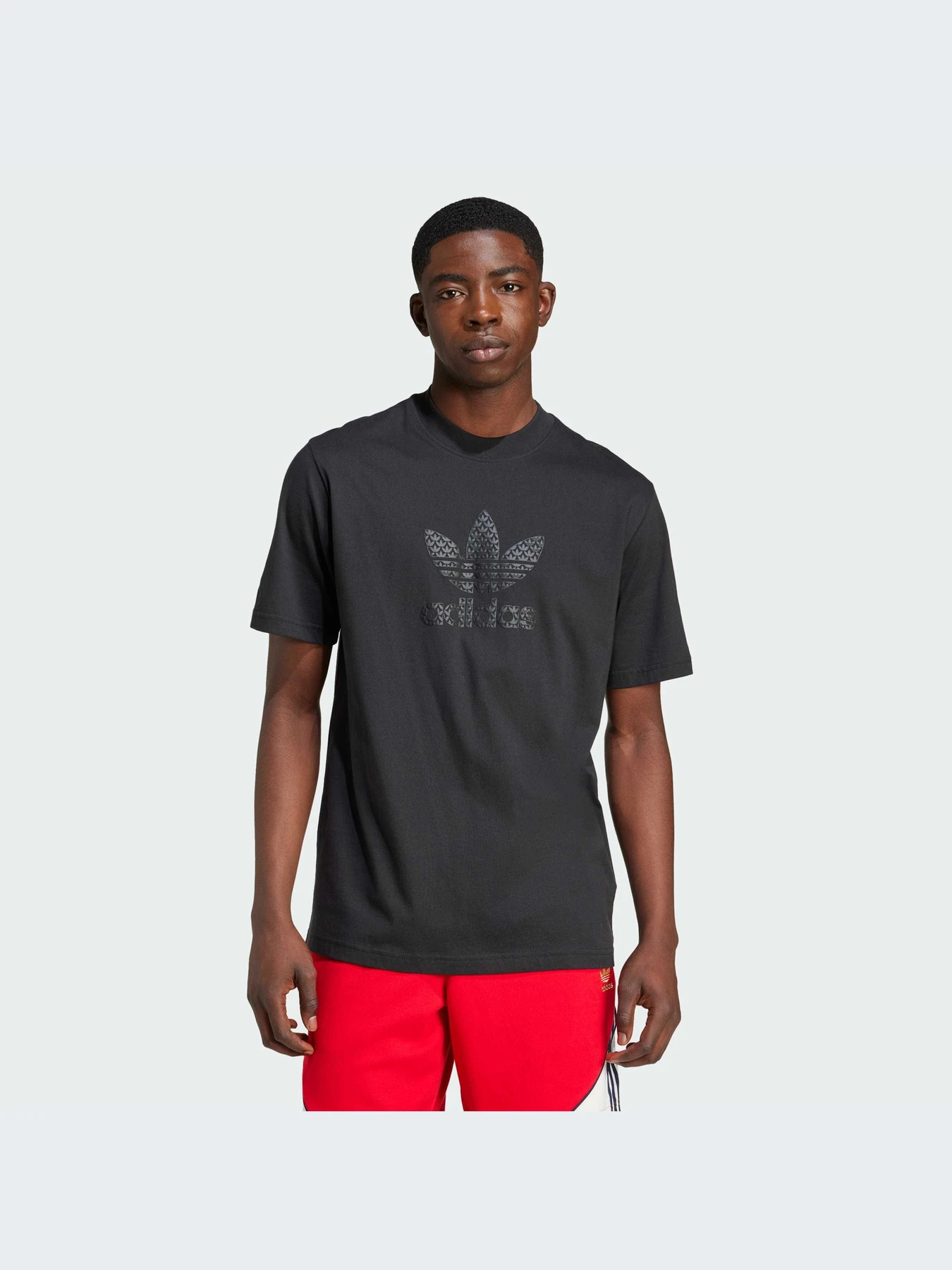Футболки и поло Adidas Graphics модель IZ2527-KZ Футболки и поло Adidas Graphics модель IZ2527-KZ Фото