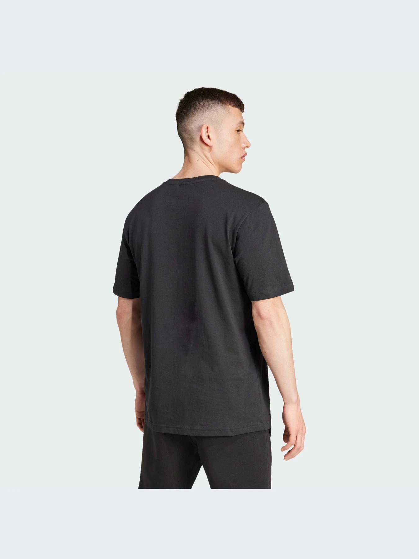 Футболки и поло Adidas Graphics модель IZ2578-KZ Футболки и поло Adidas Graphics модель IZ2578-KZ Фото