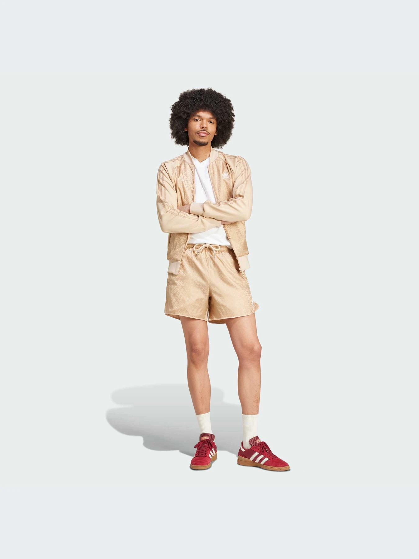 Шорты Adidas Graphics модель IX6730-KZ Шорты Adidas Graphics модель IX6730-KZ Фото