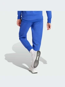 Брюки Adidas ZNE модель IS3914-KZ Фото