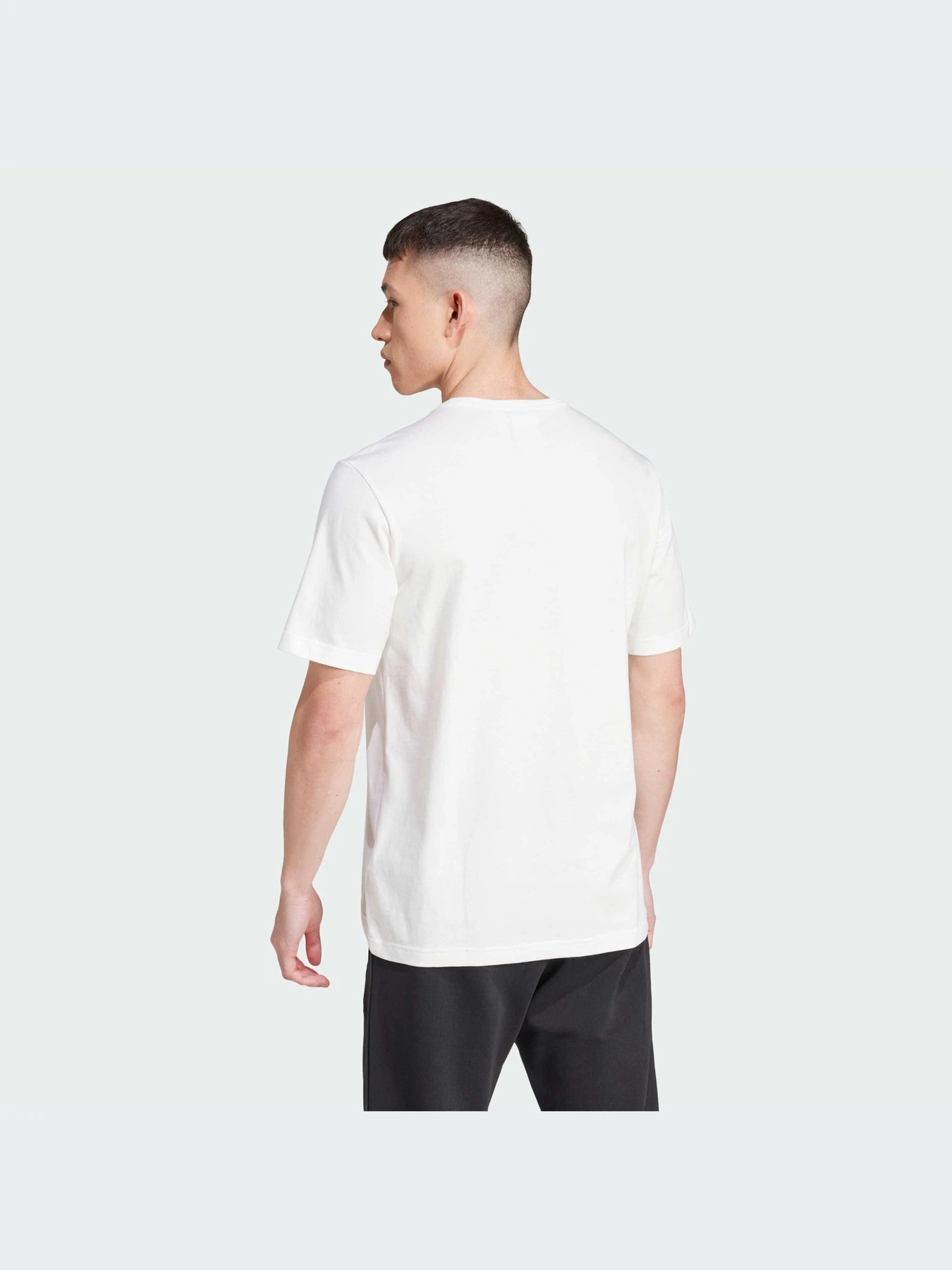 Футболки и поло Adidas модель IW3237-KZ Футболки и поло Adidas модель IW3237-KZ Фото