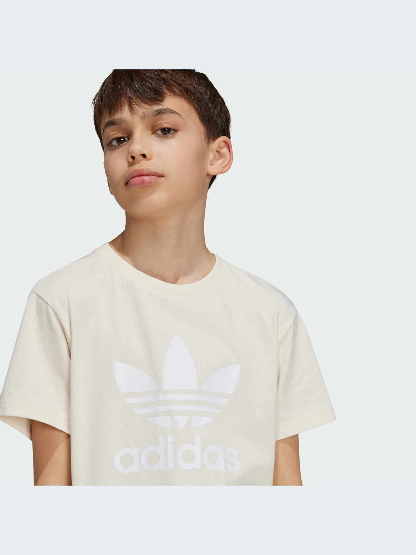 Футболки и поло Adidas Adicolor модель IY7418-KZ Футболки и поло Adidas Adicolor модель IY7418-KZ Фото