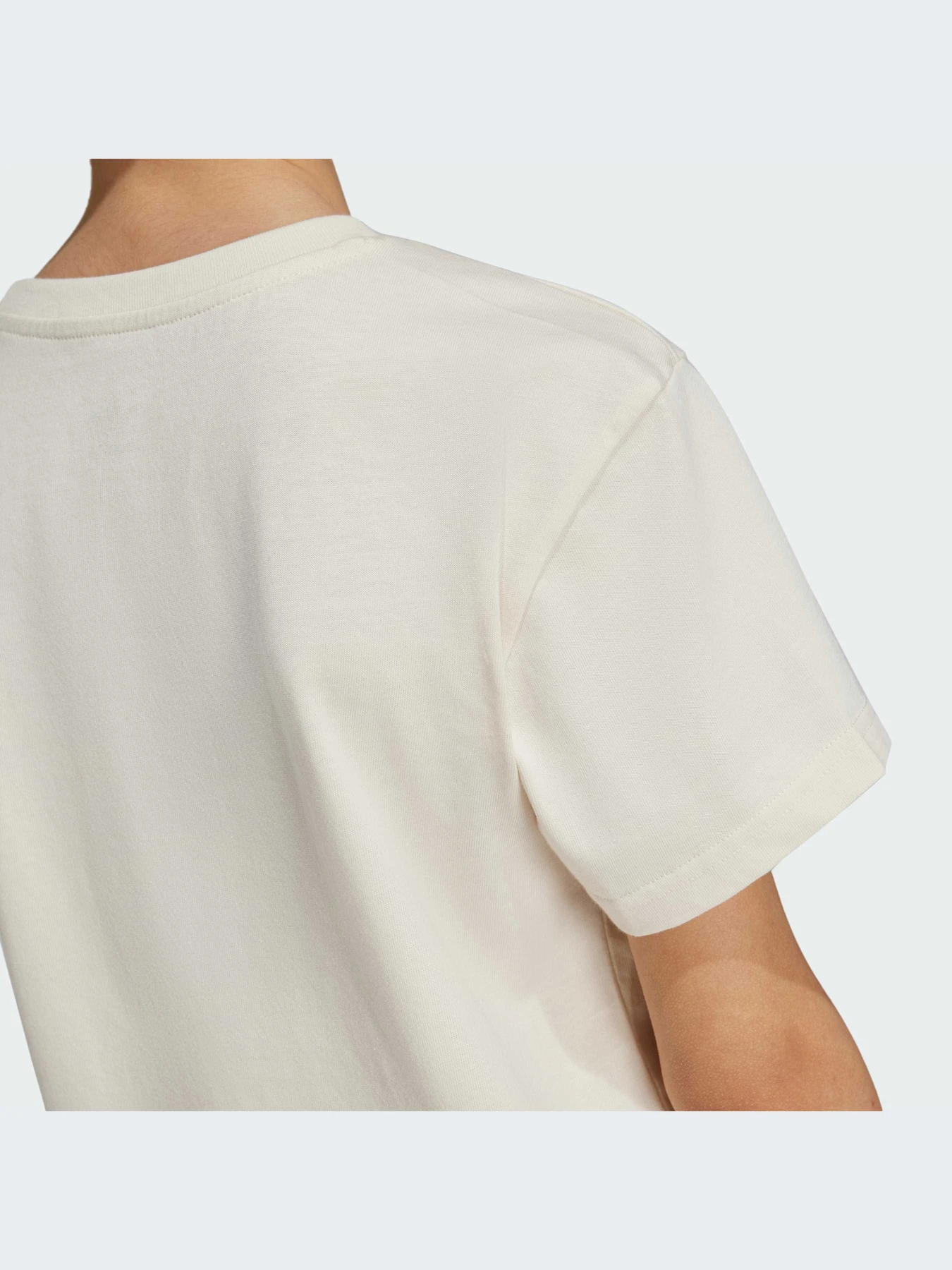 Футболки и поло Adidas Adicolor модель IY7418-KZ Футболки и поло Adidas Adicolor модель IY7418-KZ Фото
