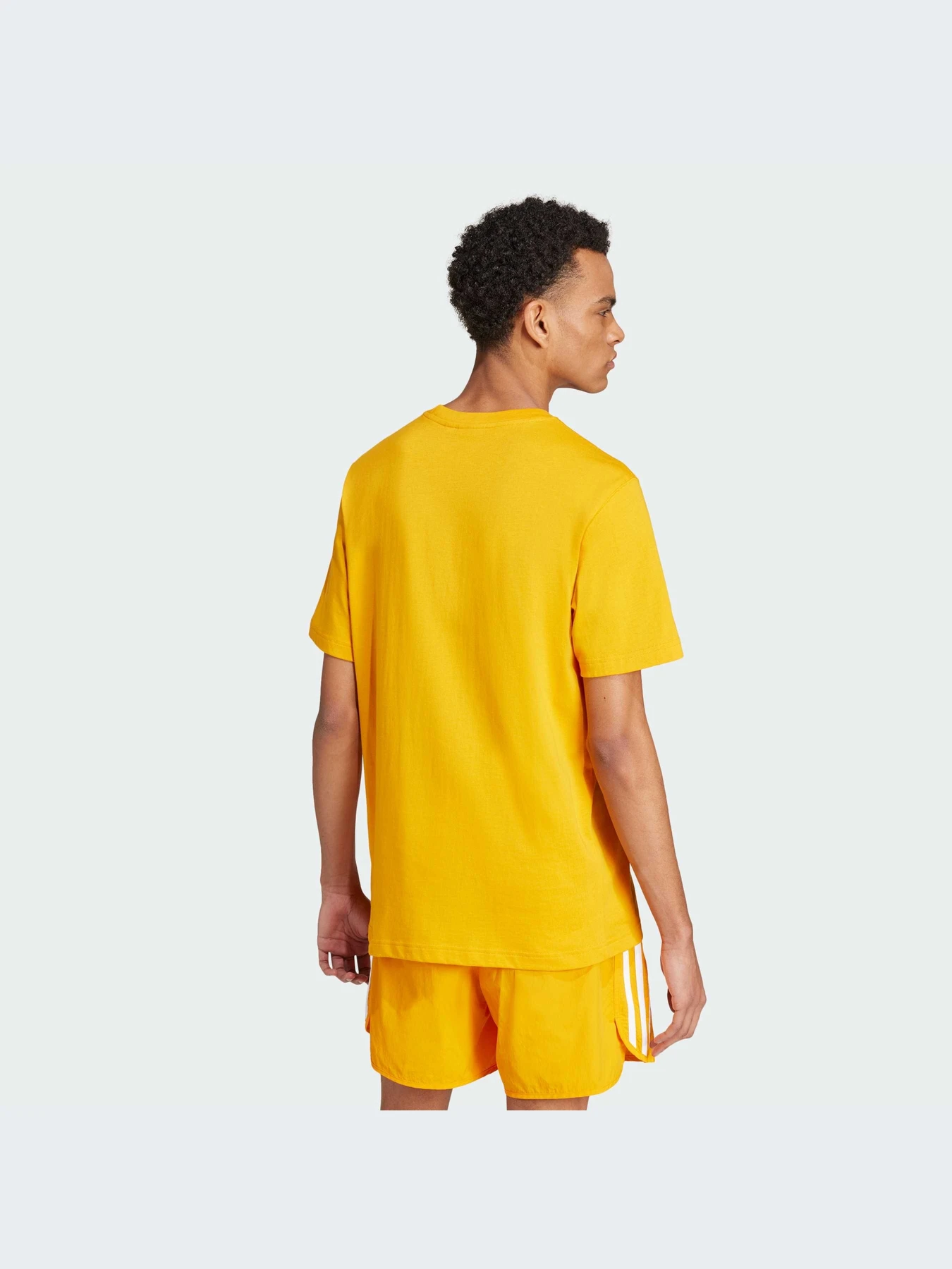 Футболки и поло Adidas Adicolor модель IZ2352-KZ Футболки и поло Adidas Adicolor модель IZ2352-KZ Фото