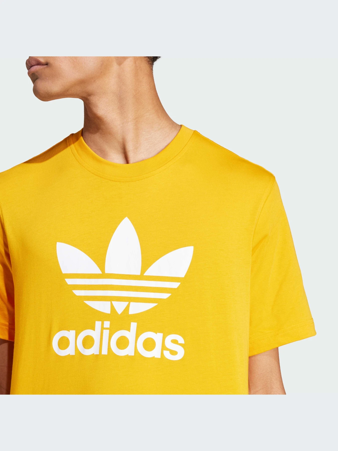 Футболки и поло Adidas Adicolor модель IZ2352-KZ Футболки и поло Adidas Adicolor модель IZ2352-KZ Фото