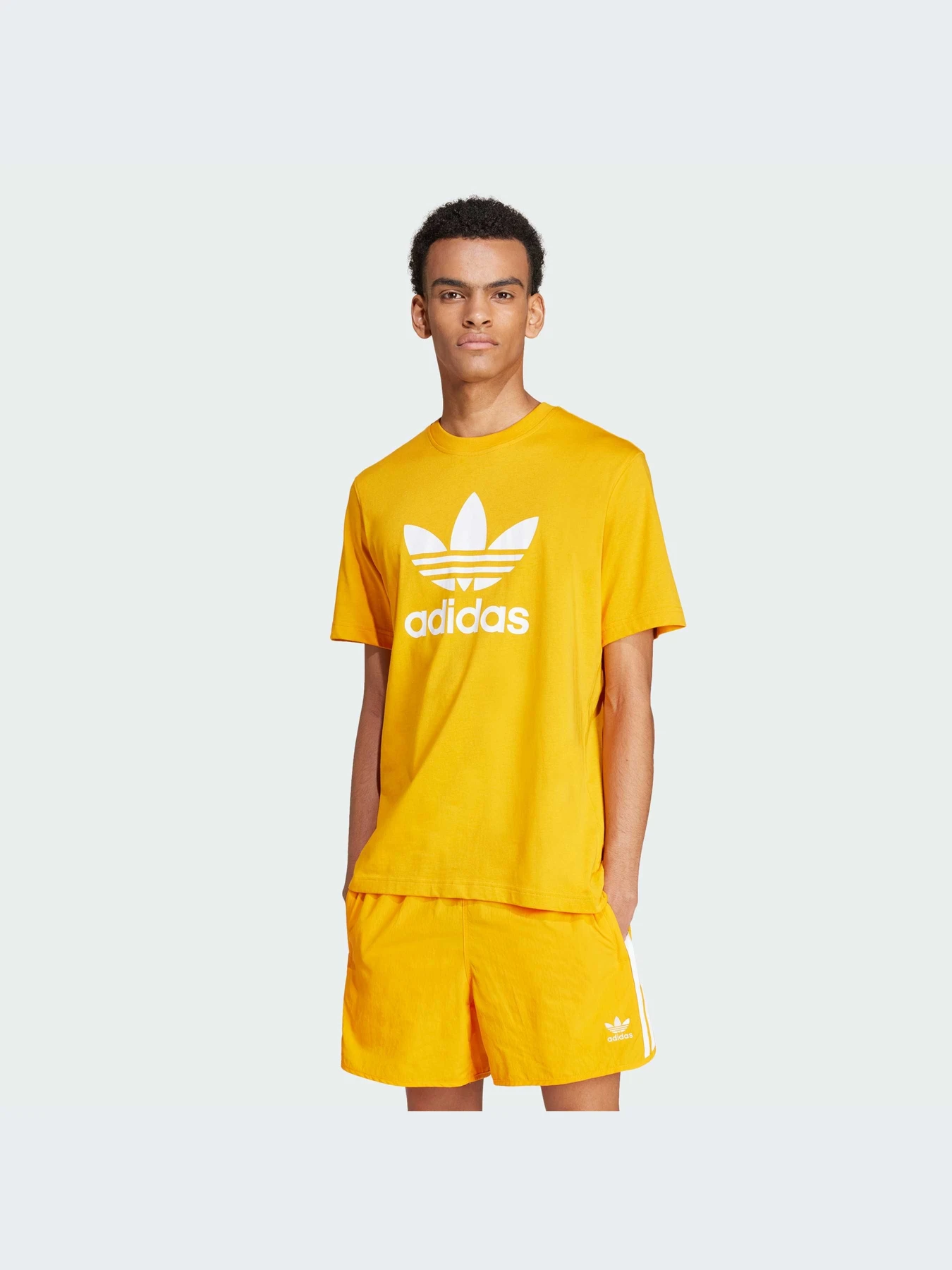 Футболки и поло Adidas Adicolor модель IZ2352-KZ Футболки и поло Adidas Adicolor модель IZ2352-KZ Фото