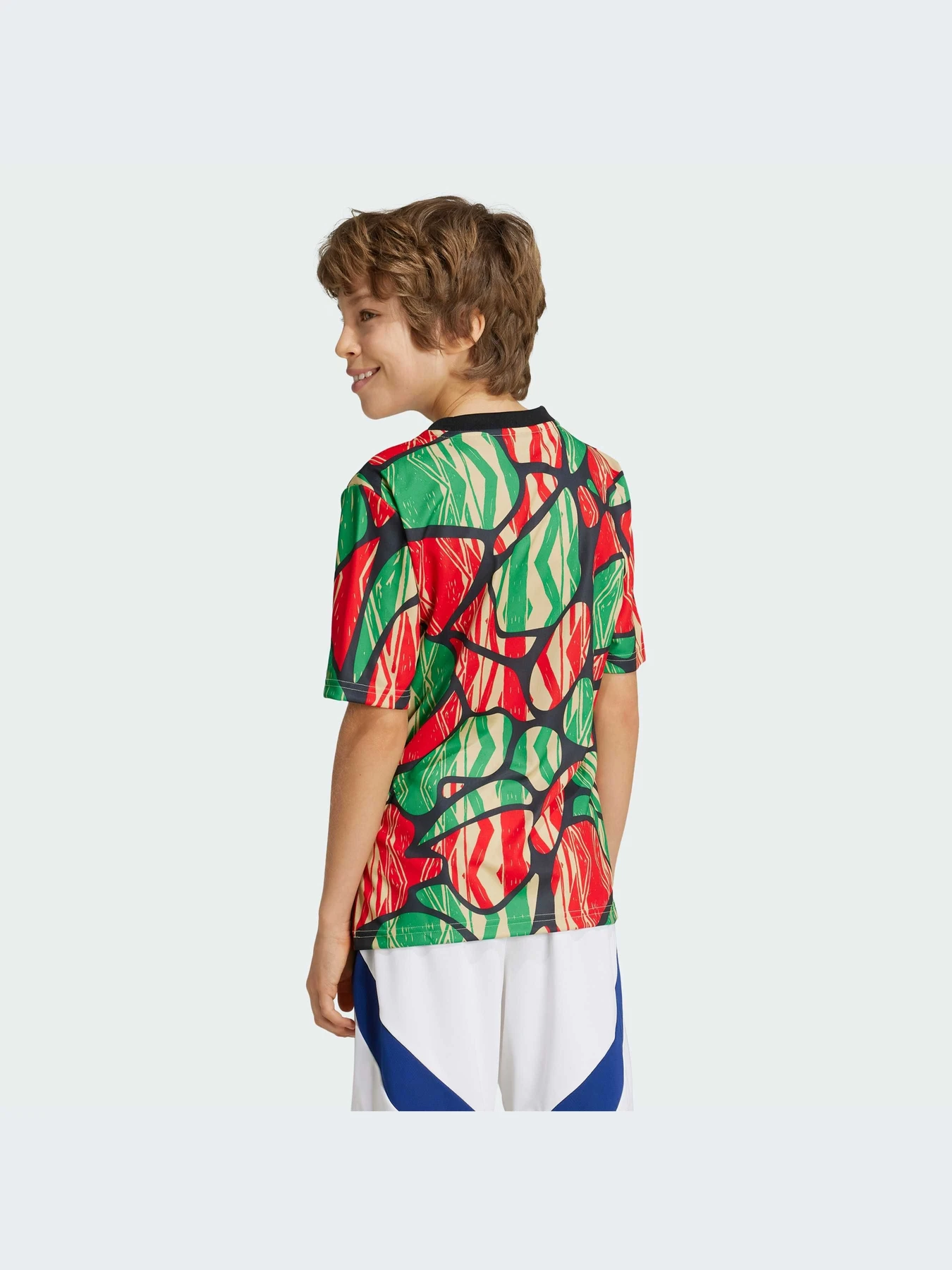 Футболки и поло Adidas модель IS9994-KZ Футболки и поло Adidas модель IS9994-KZ Фото