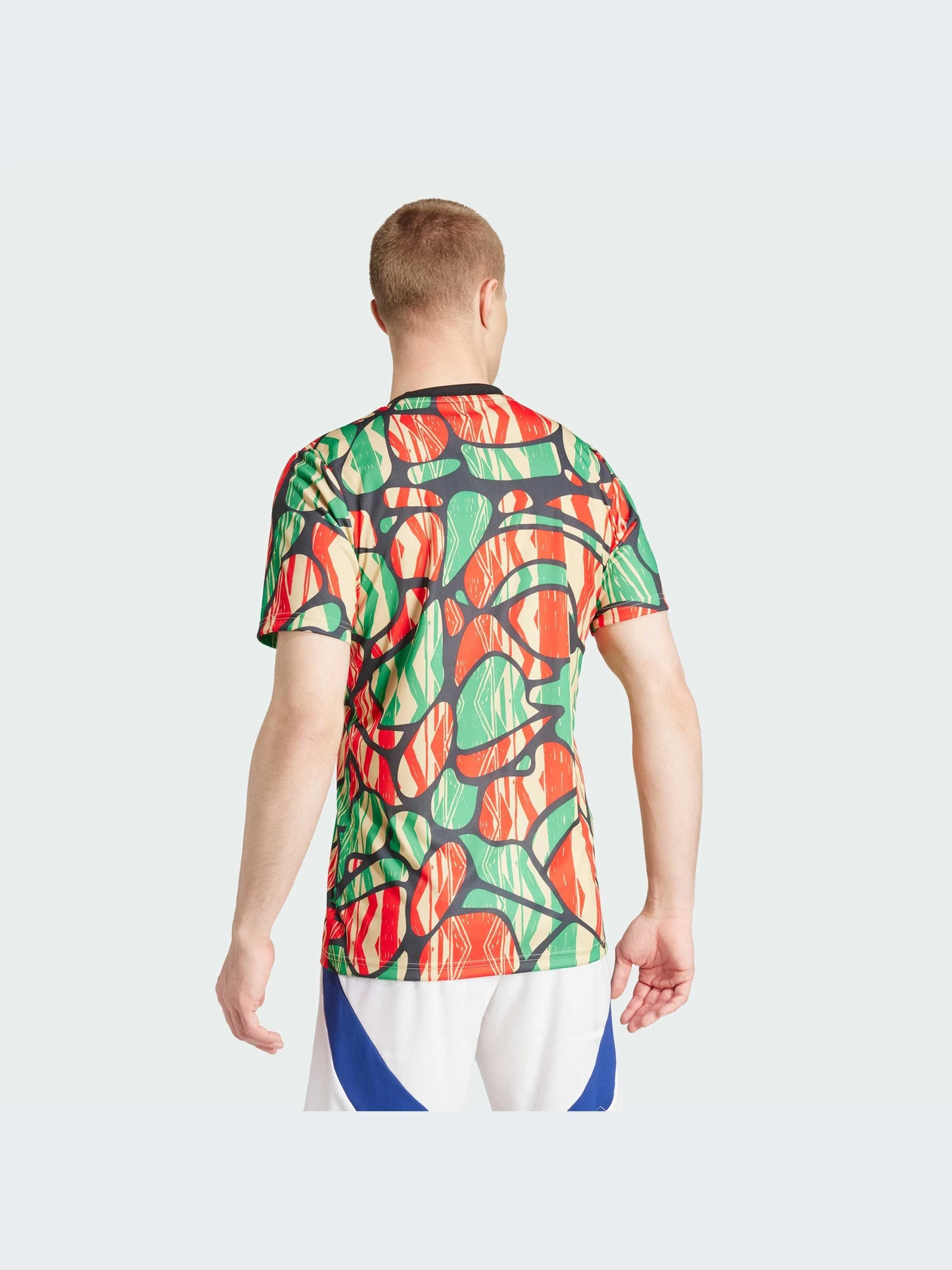Футболки и поло Adidas модель IS9996-KZ Футболки и поло Adidas модель IS9996-KZ Фото