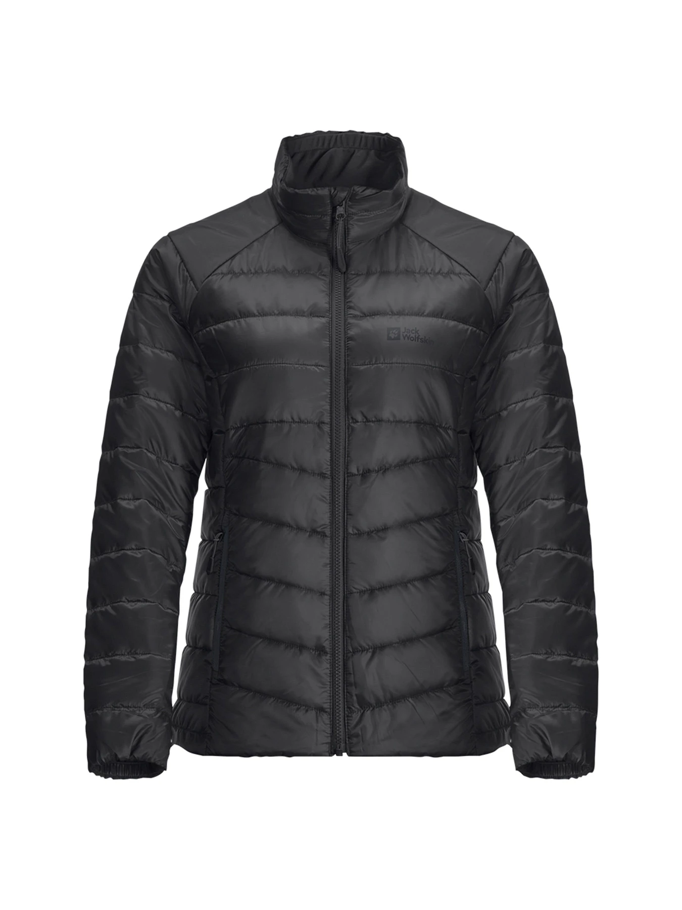 Куртки и дубленки Jack Wolfskin модель 1115661 Куртки и дубленки Jack Wolfskin модель 1115661 Фото