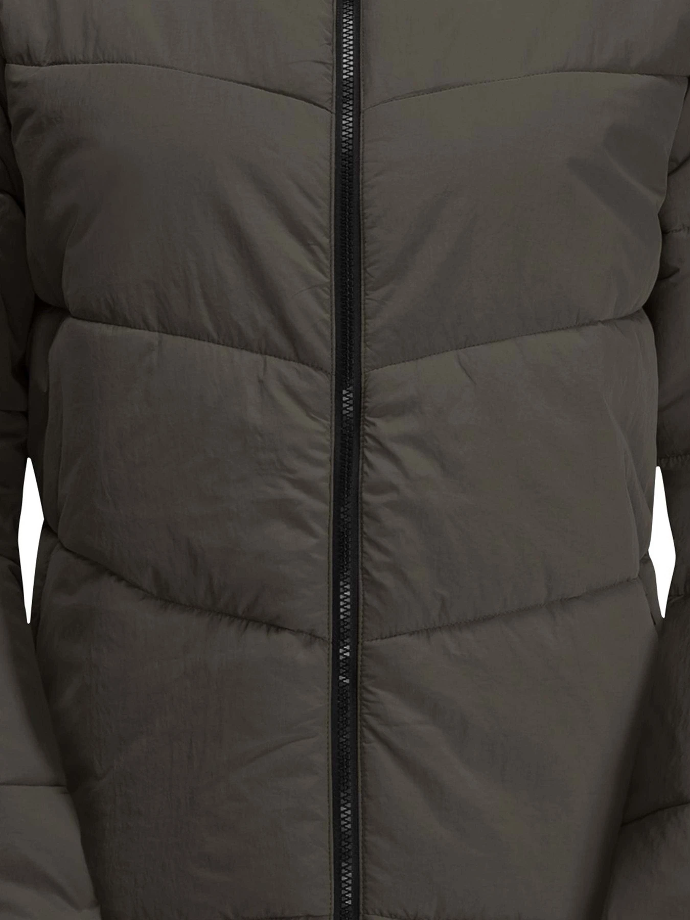 Куртки и дубленки Jack Wolfskin модель 1207491 Куртки и дубленки Jack Wolfskin модель 1207491 Фото