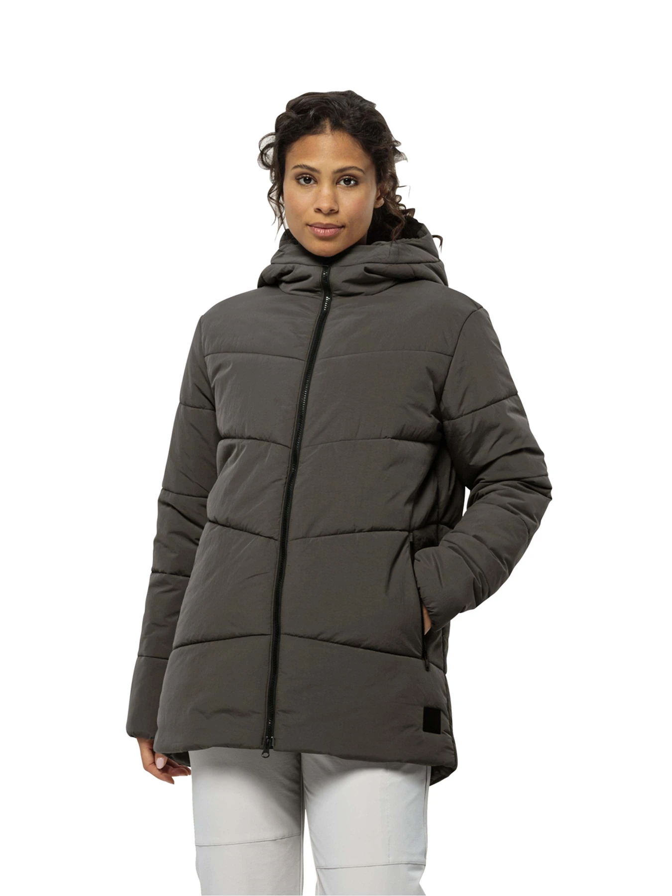 Куртки и дубленки Jack Wolfskin модель 1207491 Куртки и дубленки Jack Wolfskin модель 1207491 Фото