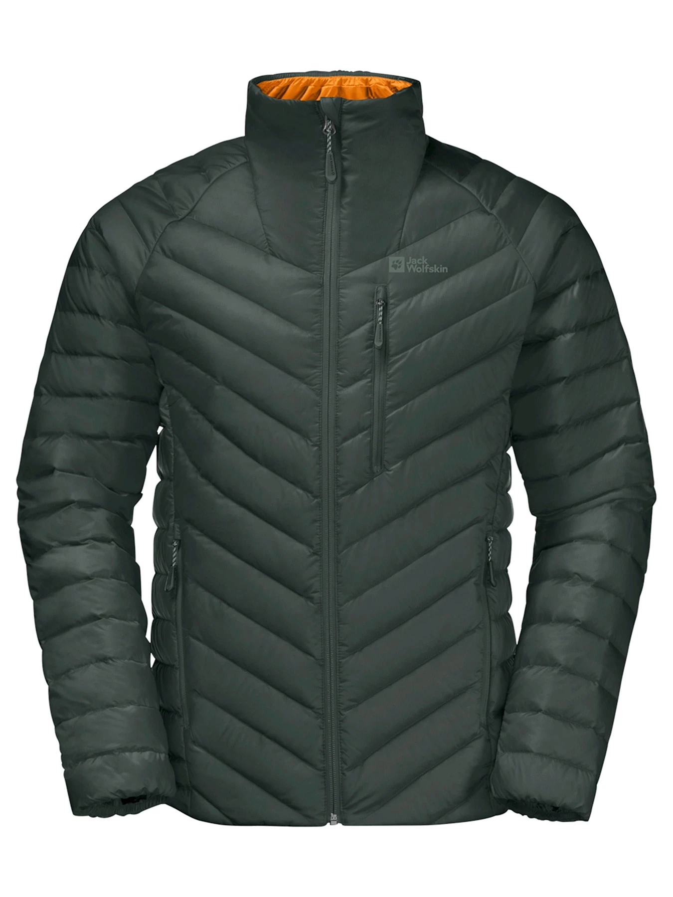 Куртки и дубленки Jack Wolfskin модель 1207151 Куртки и дубленки Jack Wolfskin модель 1207151 Фото