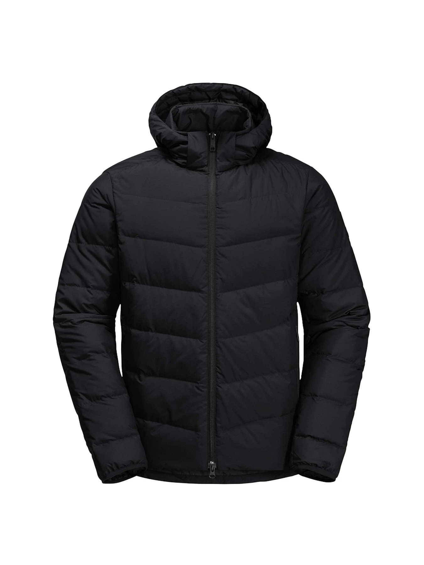 Куртки и дубленки Jack Wolfskin модель 1207431 Куртки и дубленки Jack Wolfskin модель 1207431 Фото