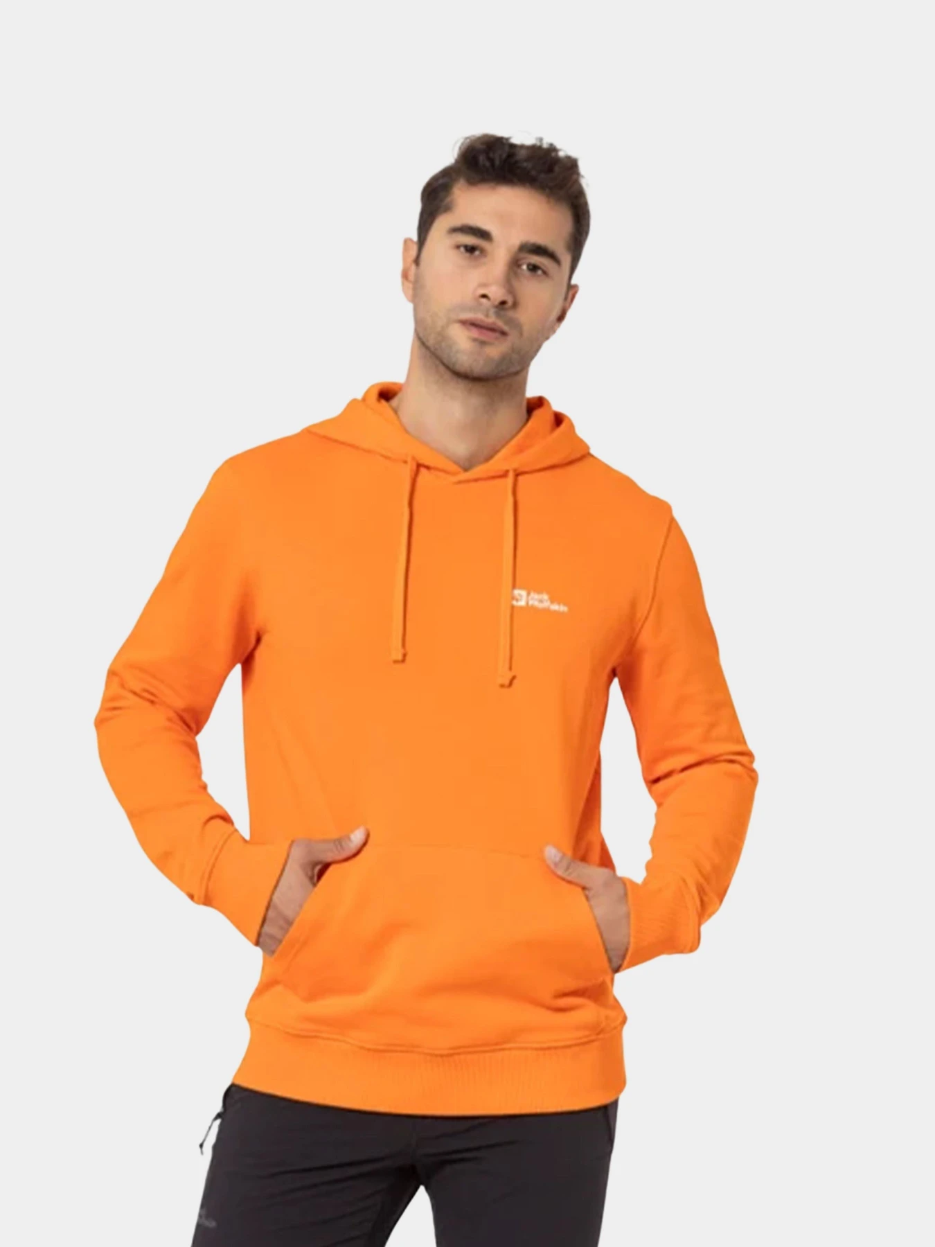 Худи и свитшоты Jack Wolfskin модель 1000003TR Фото