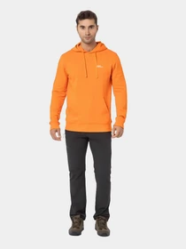 Худи и свитшоты Jack Wolfskin модель 1000003TR Фото