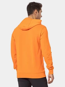 Худи и свитшоты Jack Wolfskin модель 1000003TR Фото
