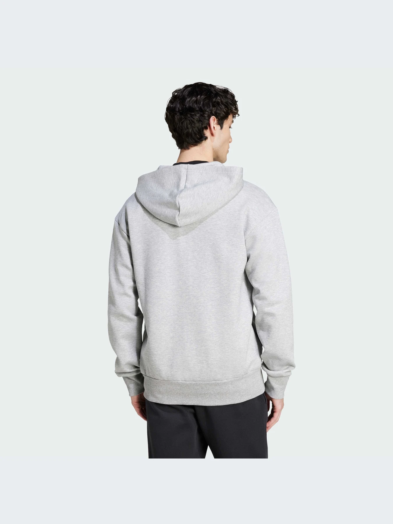 Худи и свитшоты Adidas Icons модель IW8597-KZ Худи и свитшоты Adidas Icons модель IW8597-KZ Фото