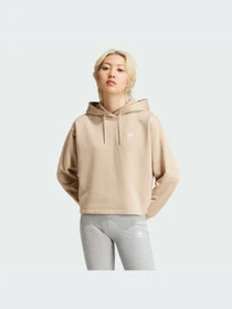 Худи и свитшоты Adidas Adicolor модель IY4698-KZ Фото