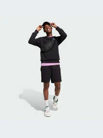 Худи и свитшоты Adidas модель IX1261-KZ Фото