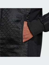 Худи и свитшоты Adidas Graphics модель IZ2541-KZ Фото